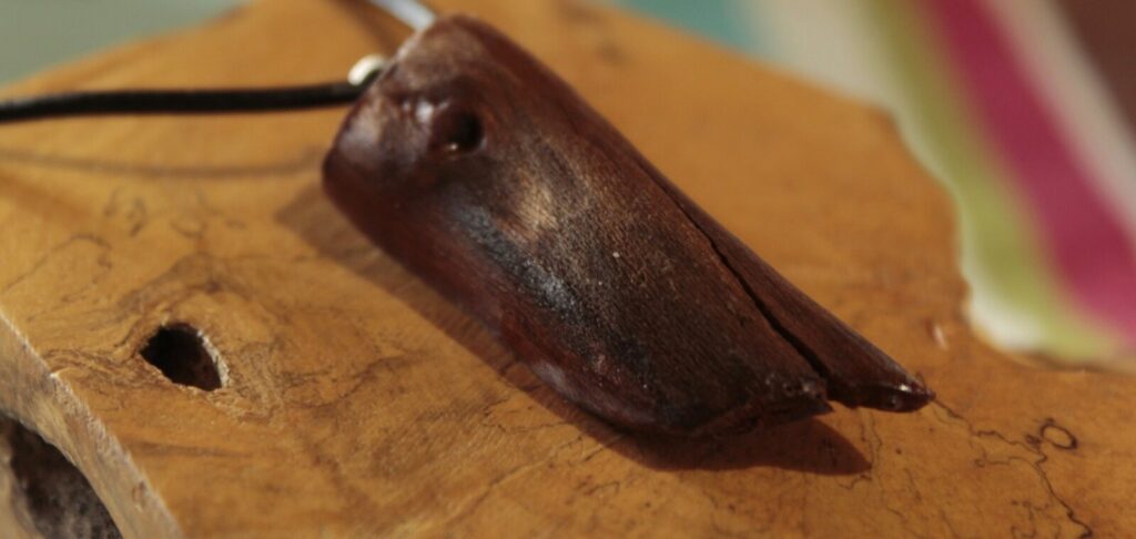 Pendentif en bois sombre en forme de dent, percé